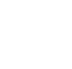 values icon