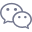 WeChat Icon