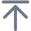 Return Icon
